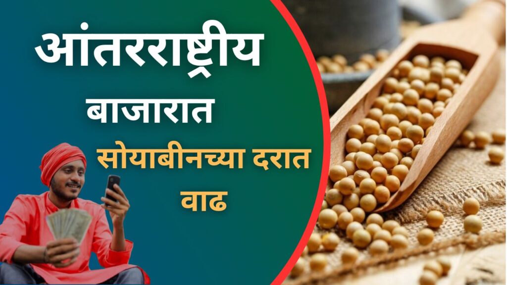 सोयाबीन भाव