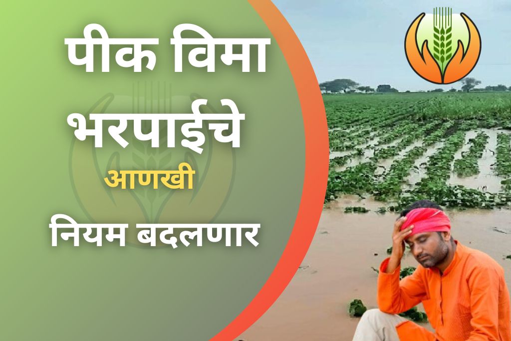पीक विमा