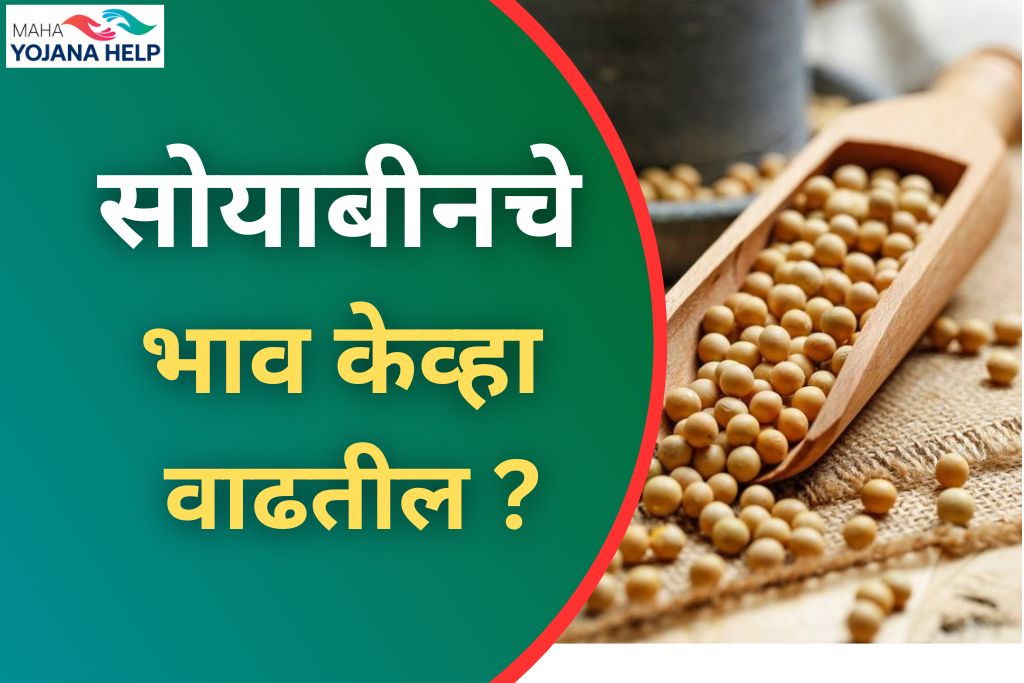 सोयाबीन बाजारभाव