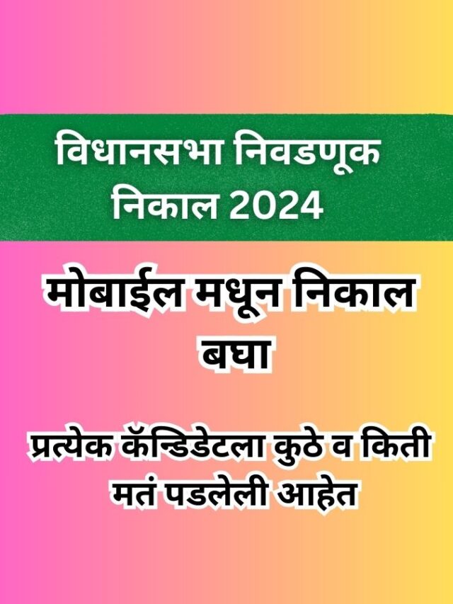 vidhansabha election result 2024- मोबाईलवर विधानसभा निकाल कसा पाहायचा?