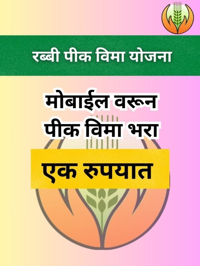 rabbi-pikvima-2024 - मोबाईल वरून अर्ज करण्याची सोपी पद्धत