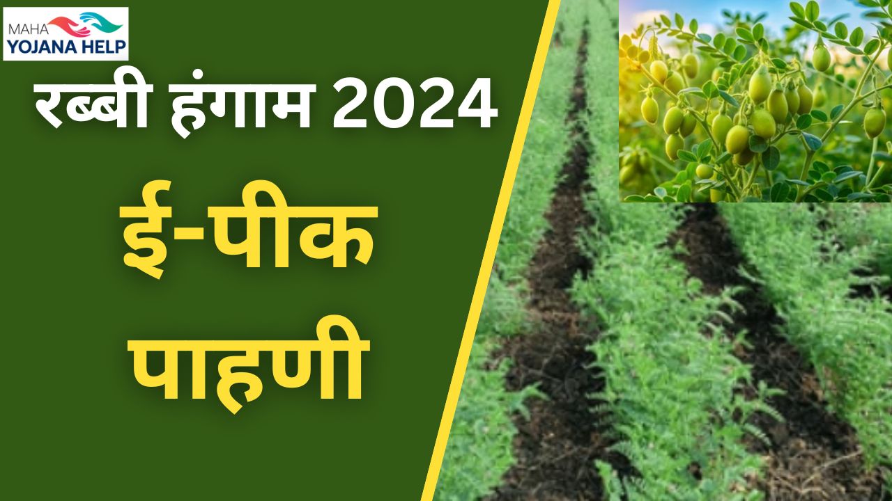 रब्बी हंगाम 2024